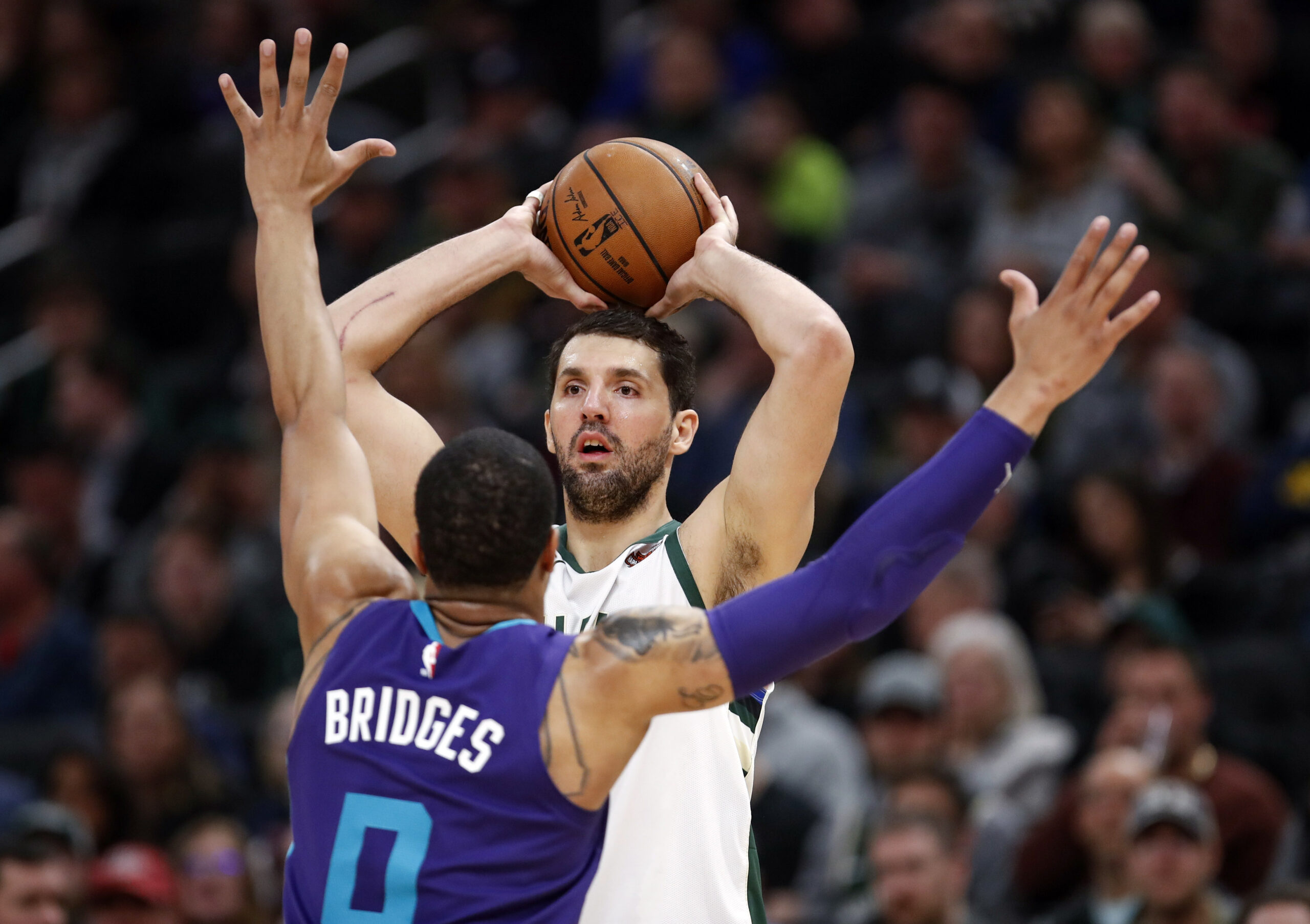 Nikola Mirotic