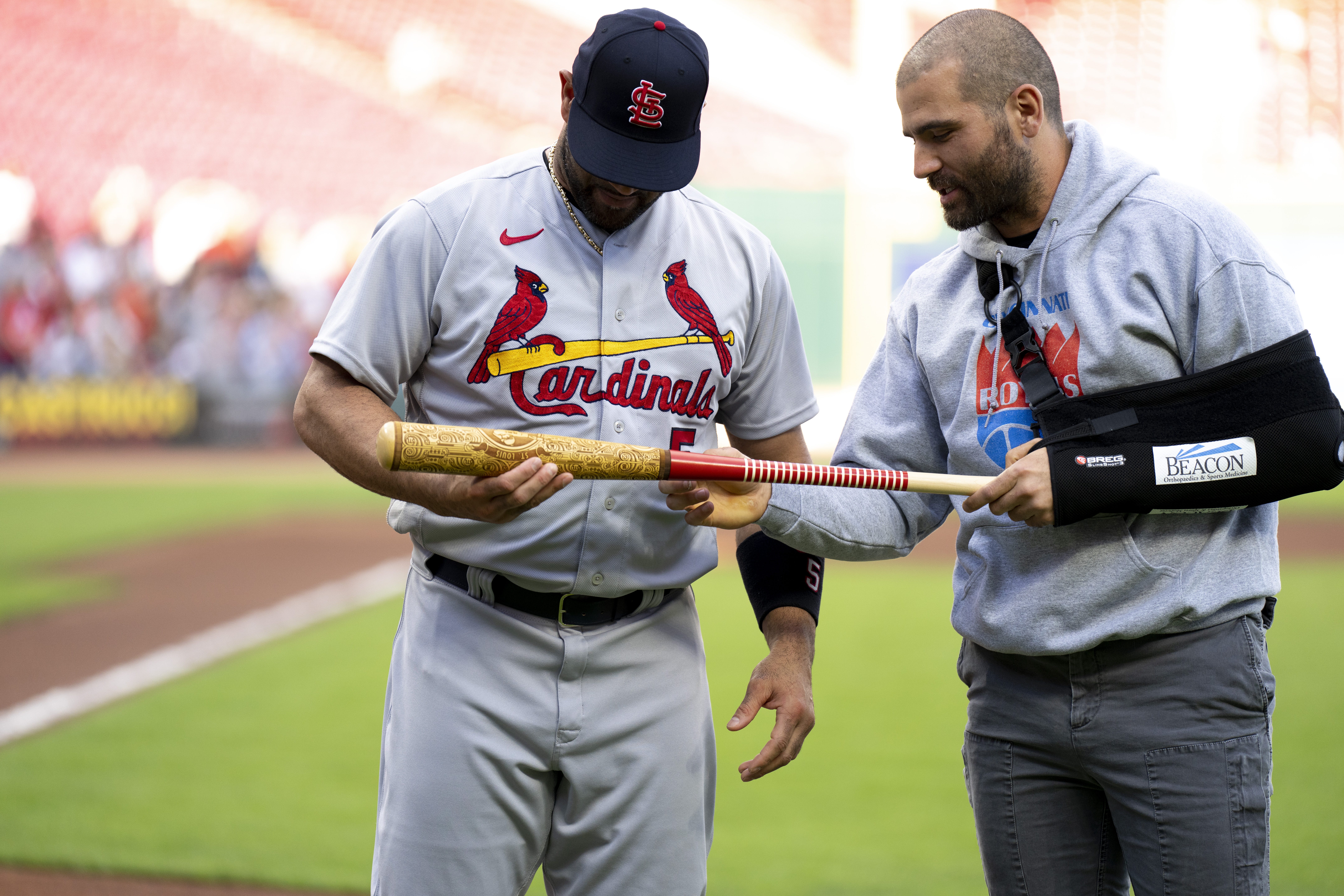 Albert Pujols bat