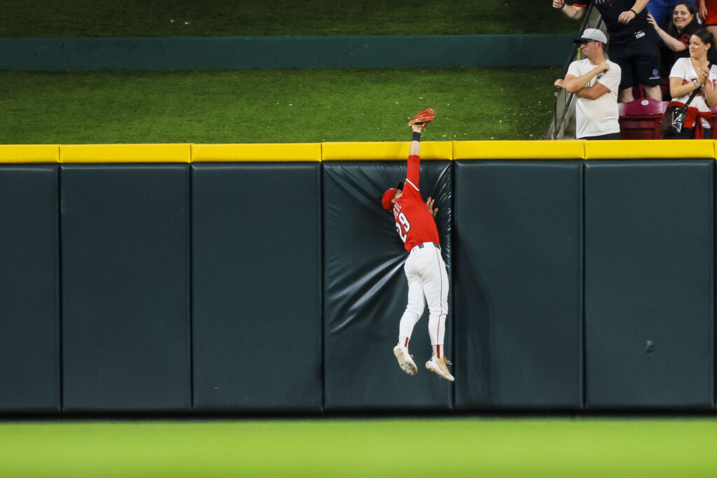 A Catch Born in Backyard Dreams