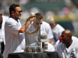 World Series Trophy: Name, Weight & Value Explained