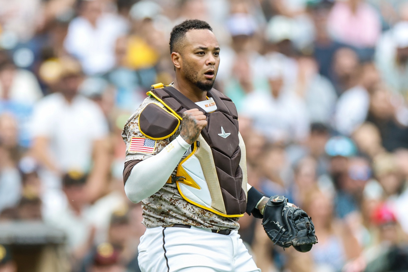 Braves Hire Veteran Catcher in Special Assistant Role