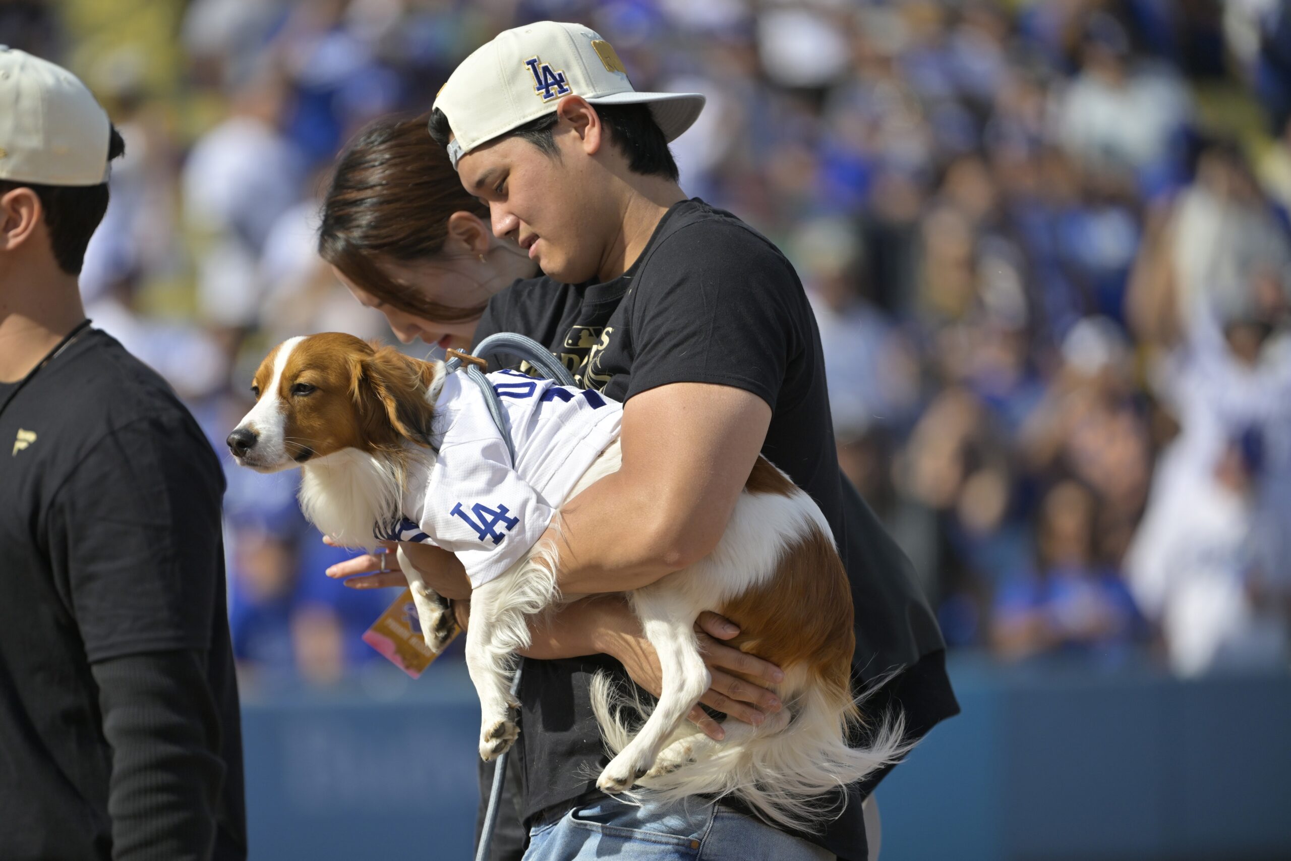 Shohei Ohtani's Dog Awarded Rare Honor as Star Nabs Award