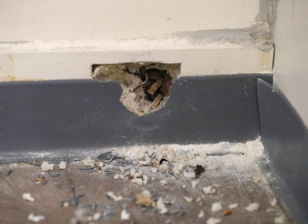 Entry Point Identified as Structural Vulnerability