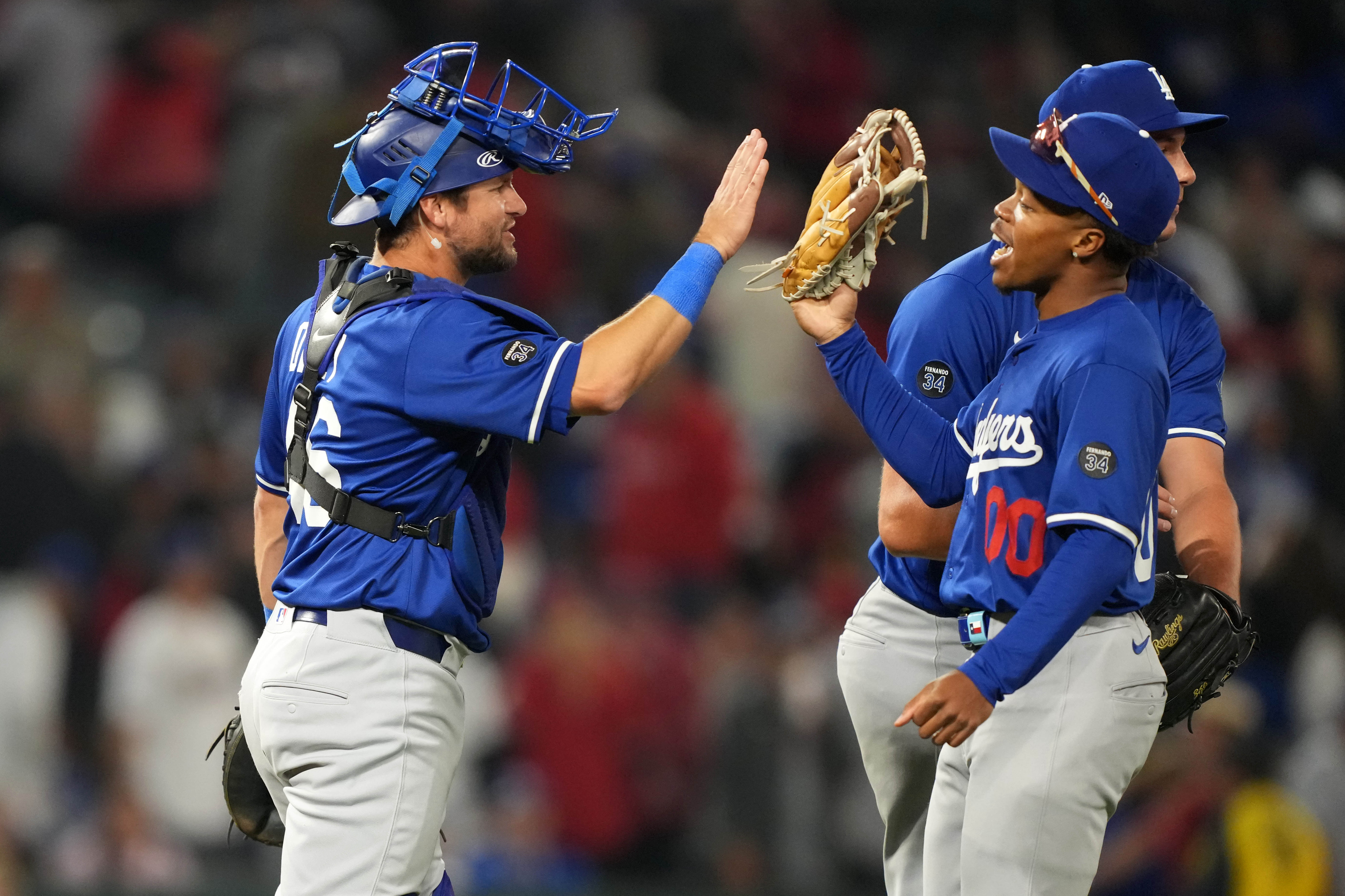 Top Dodgers Prospect Suffers Freak Injury Involving A Dog
