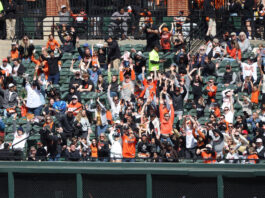 MLB Fan Lives the Dream By Catching Two Balls in One Game