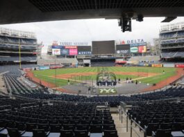 Yankees Slammed by Fans After Shocking Stadium Glitch